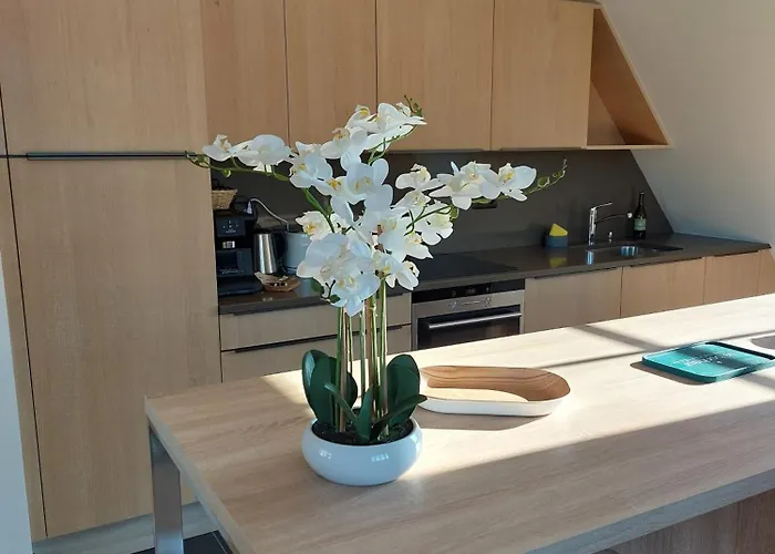 Le Victoria Baie De Somme Appartamento